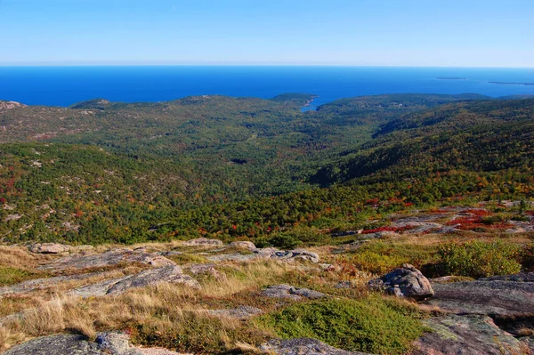 Acadia Ulusal Parkı, Maine ME, ABD 'de sonbahar yeşillikleriyle Cadillac Tepesi' nin tepesinde..