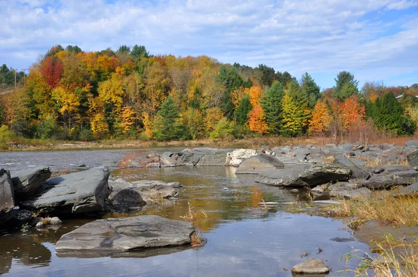 Fall Foliage Skog Mount Mansfield Vermont Usa — Stockfoto