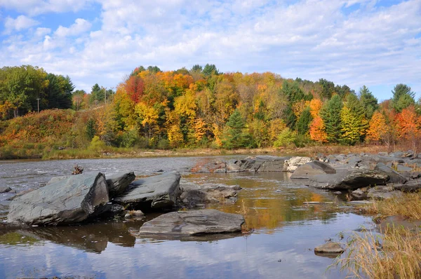 Fogliame Autunnale Nella Foresta Sul Monte Mansfield Nel Vermont Usa — Foto Stock