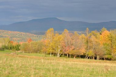 Vermont Fall Yeşillik, arka planda Mansfield Dağı, Vermont VT, ABD.