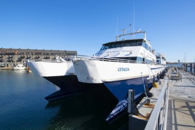 MBTA katamaran teknesi Cetacea Boston limanındaki Long Wharf 'a yanaştı, Boston şehir merkezi, Massachusetts MA, ABD. 