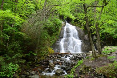 Moss Glen Şelalesi, Granville, Vermont, ABD 'deki Green Mountain Ulusal Ormanı' nda 100 numaralı karayolu boyunca ilerliyor..