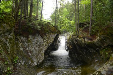 Teksas Şelalesi, Hancock köyündeki Green Mountain Ulusal Ormanı, Vermont VT, ABD.