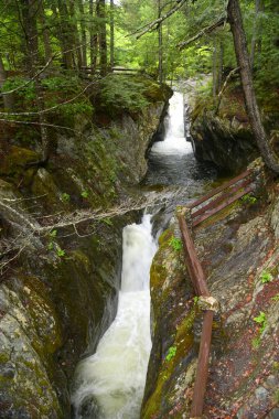 Teksas Şelalesi, Hancock köyündeki Green Mountain Ulusal Ormanı, Vermont VT, ABD.