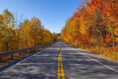 Kancamagus Otoyolu NH Karayolu 112 White Mountain Ulusal Ormanı 'nda Hancock Notch yakınlarında, New Hampshire NH, ABD.