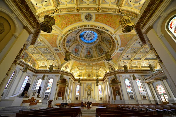 Interior Catedral San José Basílica San José Fue Construida 1885 — Foto de Stock