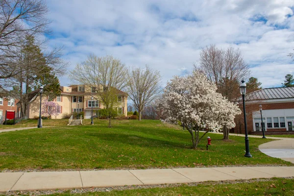 Middlesex Community College Bedford Campus Wiosną Kwiatami Kwitnącymi Miejscowości Bedford — Zdjęcie stockowe