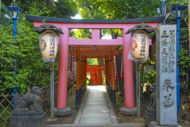 Hanazono Inari Tapınağı, Japonya 'nın başkenti Taito' daki Ueno Park 'ta bulunan Toshogu Shinto türbesidir..