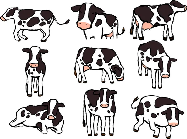 Esta Uma Ilustração Vaca Holandesa Pintada Mão Realista —  Vetores de Stock