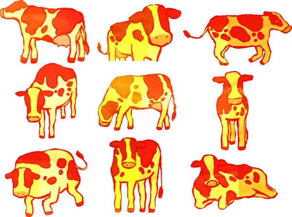 这是一幅温暖的水彩画写实的荷尔斯泰因奶牛的画像 — 图库矢量图片