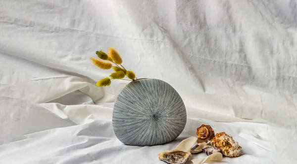 白底手工制作的陶瓷花瓶和贝壳中的干花 家居装饰 文字空间 — 图库照片