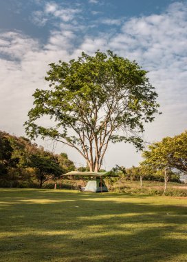 Gün batımında ya da gün doğumunda kamp alanında dalları olan güzel büyük ağaçların altında tenteli olan bir kamp çadırı manzarası. Seçici odak.