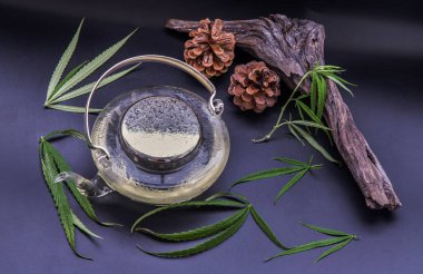 Çaydanlıkta esrarlı bitki çayı ve siyah arka planda yeşil marihuana yaprakları. Uyku ve endişe için tıbbi amaçlar. Bitki çayı ve sağlıklı içecek konsepti. Seçici Odaklanma.