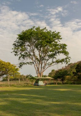 Gün batımında ya da gün doğumunda kamp alanında dalları olan güzel büyük ağaçların altında tenteli olan bir kamp çadırı manzarası. Seçici odak.