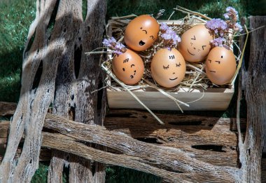 Çeşitli duyguları olan yumurta grubunun kavramsal görüntüsü. Irksal uyum, çeşitlilik, entegrasyon ve duygusal mutluluk ve rahatlatıcı konsepti temsil ediyor..