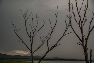 Günbatımı gökyüzünün portresi ve Bang Pra rezervuarı Tayland 'ın Chonburi eyaletinde.