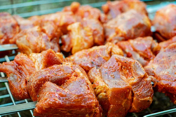 Carne Marinada Fresca Suculenta Grelha Cozinhar Comida Sobre Uma Fogueira — Fotografia de Stock