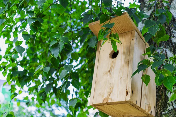 Birdhouse Close Árvore Cuidar Das Aves Ambiente Alimentadores Pássaros Apoio — Fotografia de Stock