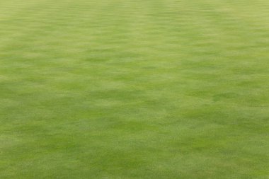 Kısa çim üzerinde bir bowling alanı