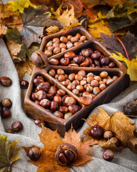 Nocciole Ippocastani Tavola Legno Foglie Autunnali Fondo — Foto Stock