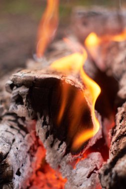 Doğadaki kütüklerden yakılan şenlik ateşi, bulanık arkaplan, yakın plan.