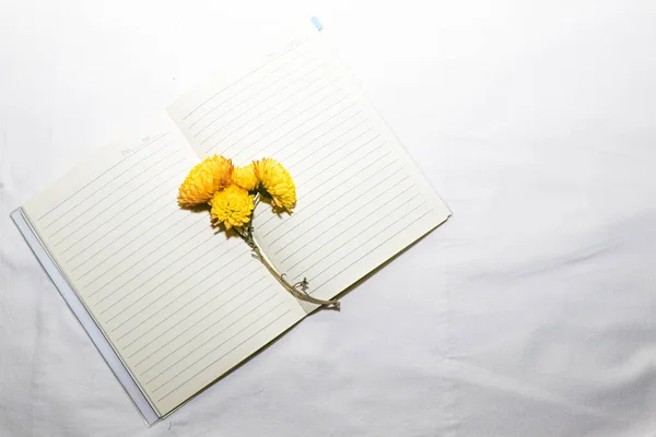 開帳に菊の花 — ストック写真