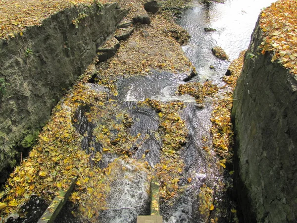 Una Piccola Cascata Nel Parco Autunnale Autunno — Foto Stock