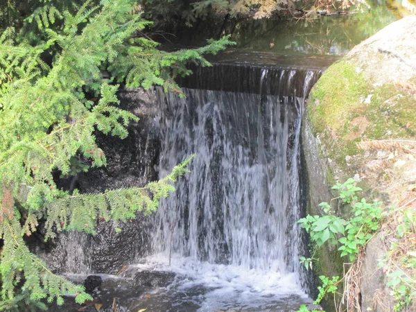 Uma Pequena Cachoeira Bonita Parque Outono Outono — Fotografia de Stock