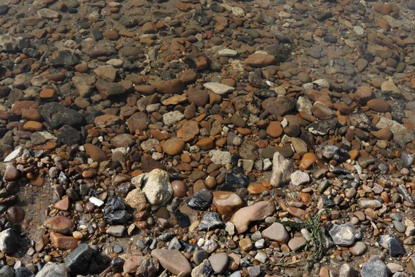 Rocky Nehir Kıyısı Parlak Sulu Otları Olan Yeşil Çayırlar Bir — Stok fotoğraf