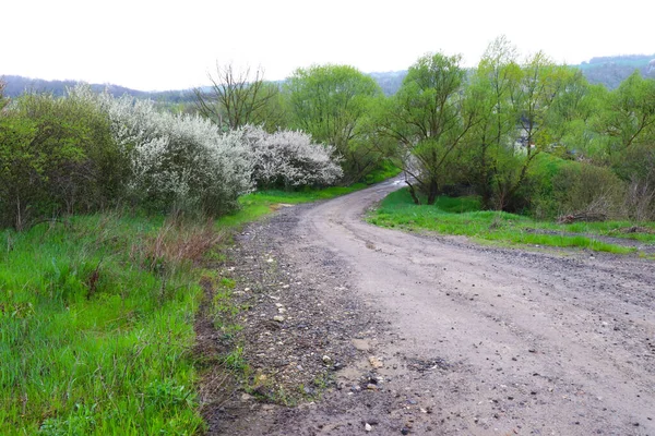 Una Strada Rurale Con Erba Fresca Verde Brillante Sui Bordi — Foto Stock