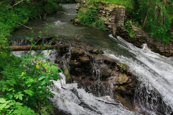 Une Petite Cascade Dans Forêt Verts Juteux Lumineux Éclaboussures Eau — Photo