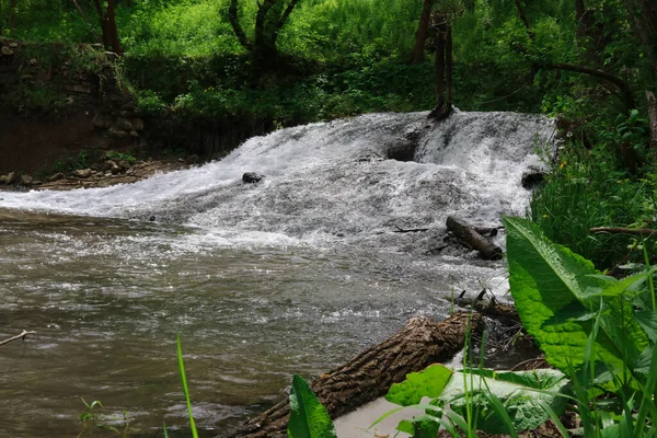 Ett Litet Vattenfall Skogen Ljusa Saftiga Gröna Och Stänk Vatten — Stockfoto