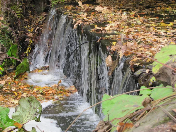 Une Petite Cascade Dans Parc Automne Endroit Idéal Pour Détendre — Photo