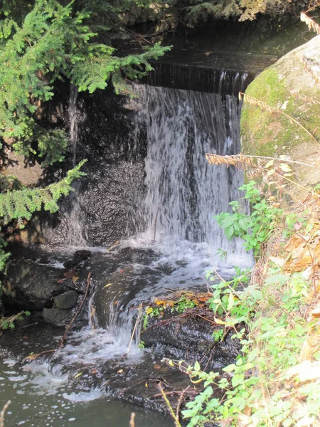 Uma Pequena Cachoeira Parque Outono Lugar Ideal Para Relaxar Grande — Fotografia de Stock
