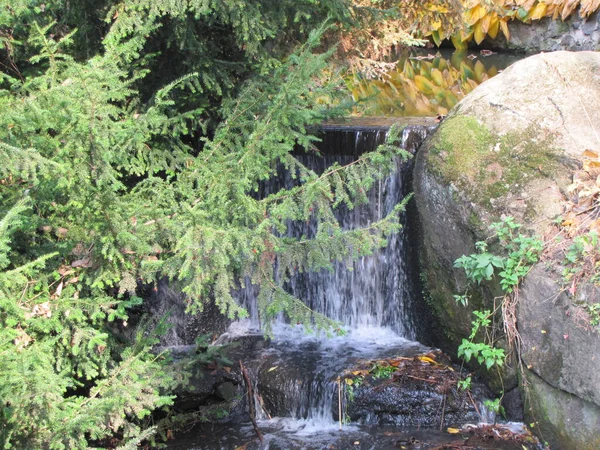 Une Petite Cascade Dans Parc Automne Endroit Idéal Pour Détendre — Photo