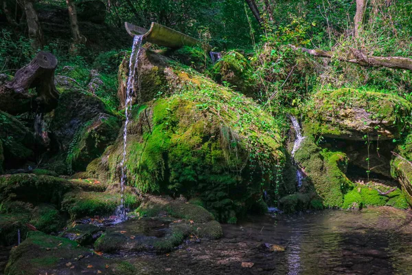 Small Waterfall Forest Bright Juicy Greens Splashes Water Quiet Peaceful — Stock Photo, Image