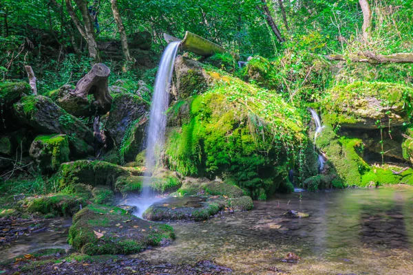 Small Waterfall Forest Bright Juicy Greens Splashes Water Quiet Peaceful — Stock Photo, Image