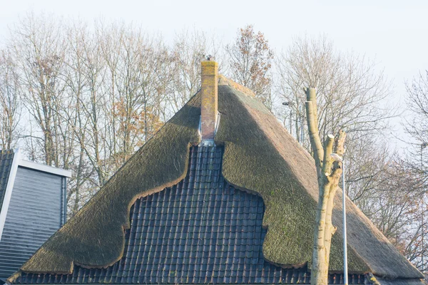 Sino em forma de telhado de palha de fazenda — Fotografia de Stock