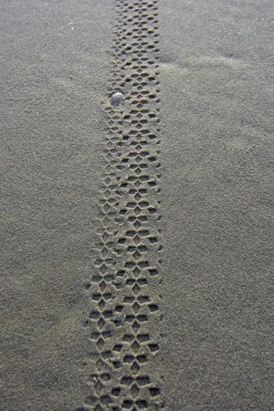 mtb bike pattern at beach