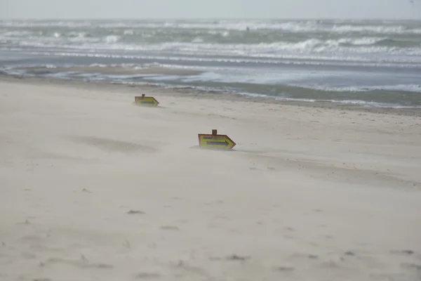 Blåsigt nederländska strand med tecken inlägg för race — Stockfoto