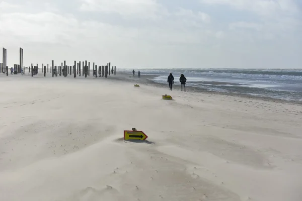 レースのサインと風の強いオランダ ビーチを投稿します。 — ストック写真