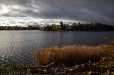 Sonbahar gölü kıyısı Bulutlu bir gökyüzünün altında