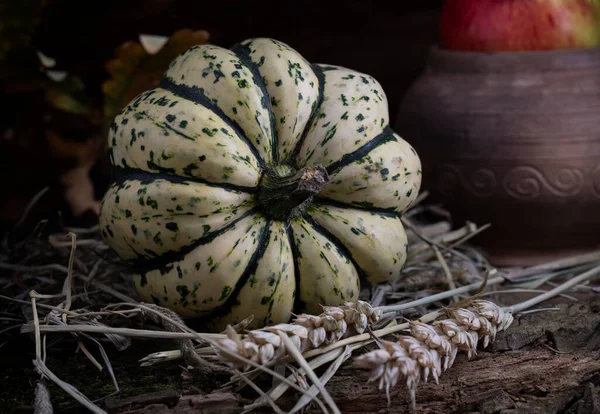 Gestreepte Pompoen Tarweoren Een Houten Tafel — Stockfoto