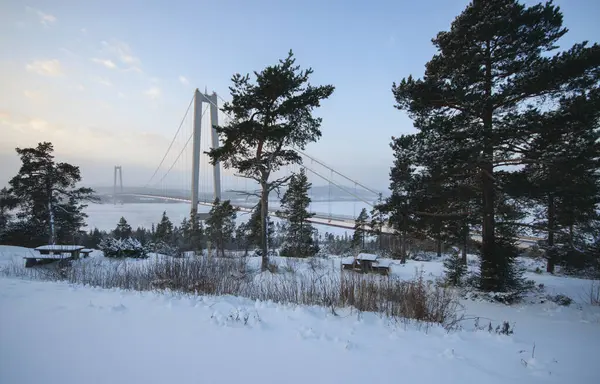 Hög Betongankarbro Över Vinterfloden — Stockfoto