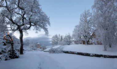 Kış sabahının erken saatlerinde etrafı karla kaplı ağaçlarla çevrili taştan kilise.