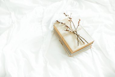 Spring is coming. Reading concept with vintage books on white background with pussy willow twig. Flat lay. Cozy home still life. High quality photo