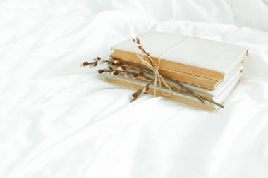 Spring is coming. Reading concept with vintage books on white background with pussy willow twig. Flat lay. Cozy home still life