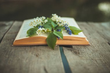 Çiçeklerin olduğu, çiçeklerin açtığı, ağaçtan bir arka planda duran klasik bir kitap. Okuma aşkı. Bulanık