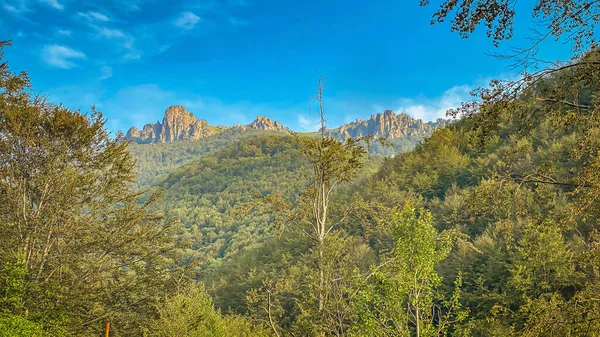 Babin Zub 'un Stara planinasındaki zirvesi 1758 metre yükseklikte yer almaktadır.