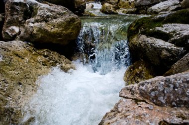 Neuschwanstein Şatosu, Bavyera Almanya.